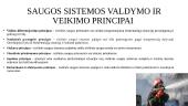 Teisiniai civilinės saugos ir gelbėjimo sistemos pagrindai, struktūra ir veiklos principai 14 puslapis