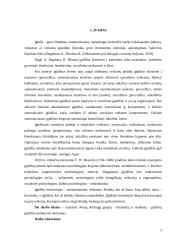 Įgūdžių susidarymo ypatumų tyrimas 2 puslapis