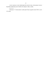 Proceso dalyvių teisės ikiteisminio tyrimo metu 13 puslapis