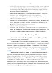 Proceso dalyvių teisės ikiteisminio tyrimo metu 17 puslapis