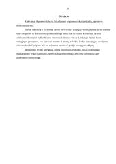 Proceso dalyvių teisės ikiteisminio tyrimo metu 19 puslapis