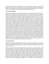 Romėnų teisės dalykas ir sistema 3 puslapis