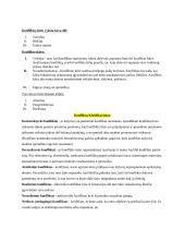 Konfliktai. Konspektas 2 puslapis