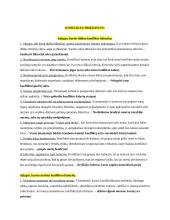 Konfliktai. Konspektas 11 puslapis