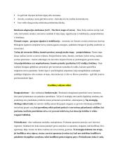 Konfliktai. Konspektas 5 puslapis