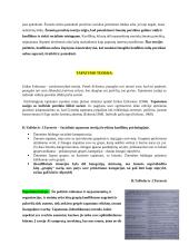 Konfliktai. Konspektas 8 puslapis