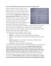 Konfliktai. Konspektas 10 puslapis