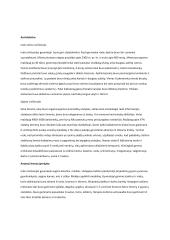 Graikų ir Indo slėnio civilizacijų lyginimas  2 puslapis