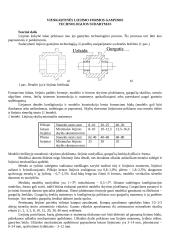 Liejimo formos gamybos technologija 2 puslapis
