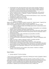 Lietuvių literatūros užduotys 12 puslapis