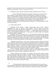 Lietuvių literatūros užduotys 5 puslapis