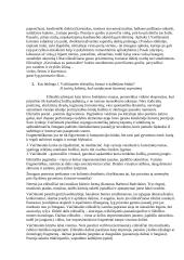 Lietuvių literatūros užduotys 6 puslapis