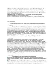 Lietuvių literatūros užduotys 7 puslapis