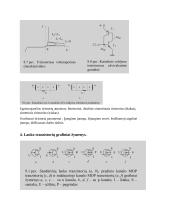 Elektronikos įtaisų paskaitų konspektas 16 puslapis