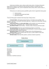 Lietuvos bankų sistema 2 puslapis