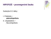 Hormonai 11 puslapis