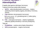 Hormonai 12 puslapis