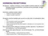Hormonai 4 puslapis