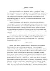 UAB „Rūta“ įmonės analizė 2 puslapis