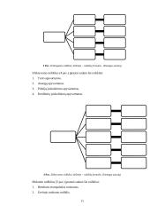Įmonės ūkinės veiklos apskaita ir santykinių rodiklių analizė 10 puslapis