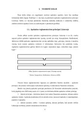 Įmonės ūkinės veiklos apskaita ir santykinių rodiklių analizė 5 puslapis