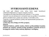 Ergonomika slaugoje  12 puslapis