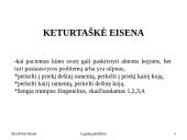 Ergonomika slaugoje  13 puslapis