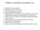 Ergonomika slaugoje  2 puslapis