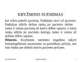 Ergonomika slaugoje  8 puslapis