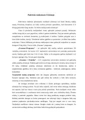 Vaikų patirtinis ugdymas Lietuvoje ir užsienyje 2 puslapis