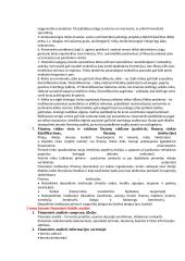 Verslo finansų koliokvumo klausimai ir atsakymai 2 puslapis