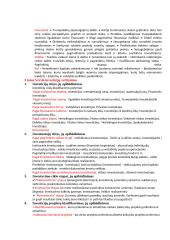 Verslo finansų koliokvumo klausimai ir atsakymai 5 puslapis