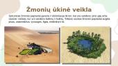 Dykumos pristatymas 12 puslapis