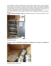 Bitininkystės verslo planas - ataskaita 10 puslapis