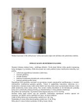 Bitininkystės verslo planas - ataskaita 11 puslapis