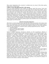 Bitininkystės verslo planas - ataskaita 12 puslapis