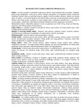 Bitininkystės verslo planas - ataskaita 13 puslapis