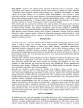 Bitininkystės verslo planas - ataskaita 15 puslapis