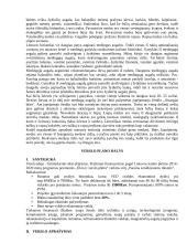 Bitininkystės verslo planas - ataskaita 16 puslapis