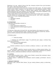 Bitininkystės verslo planas - ataskaita 17 puslapis