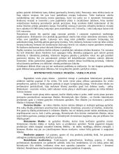 Bitininkystės verslo planas - ataskaita 3 puslapis