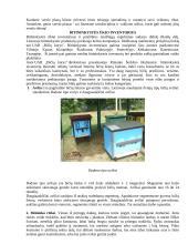 Bitininkystės verslo planas - ataskaita 4 puslapis