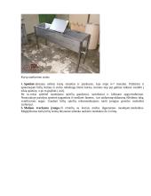 Bitininkystės verslo planas - ataskaita 6 puslapis