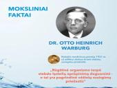 Pasaulinė vandens diena - skaidrės 11 puslapis