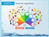 Pasaulinė vandens diena - skaidrės 16 puslapis