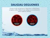 Pasaulinė vandens diena - skaidrės 19 puslapis