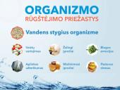 Pasaulinė vandens diena - skaidrės 9 puslapis