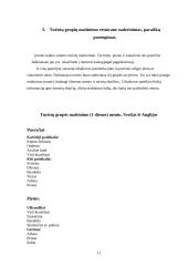 Maitinimo organizavimas 11 puslapis