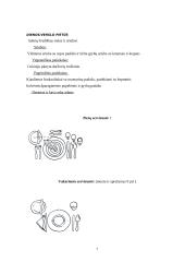 Maitinimo organizavimas 7 puslapis