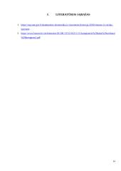 Informacinės technologijos ir sveikata (referatas) 13 puslapis